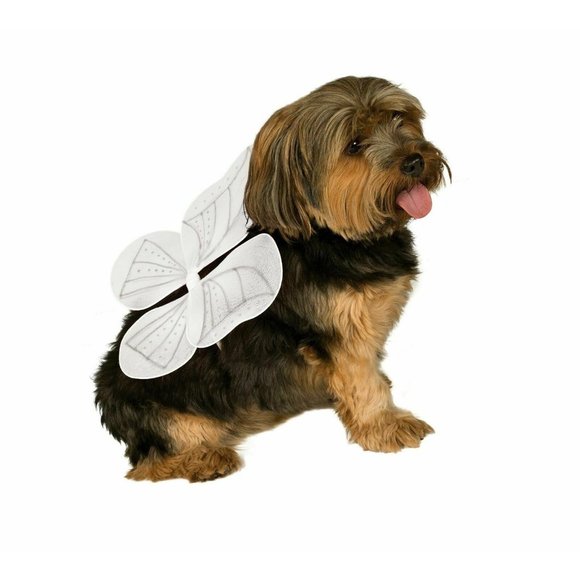 small dog angel costume